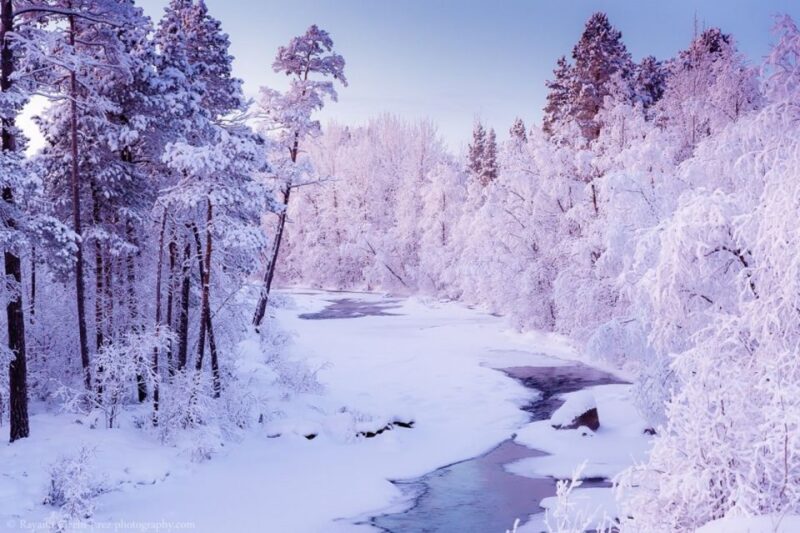 Rovaniemi: Winter Snowshoeing, Reindeer & Husky Sleigh Ride - Important Information