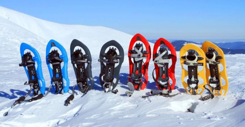 Rovaniemi: Winter Snowshoeing, Reindeer & Husky Sleigh Ride - Booking and Cancellation