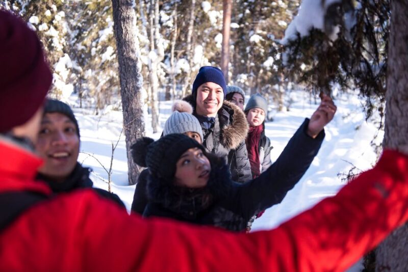 Rovaniemi: Winter Wilderness Snowshoeing Trip - Trip Overview