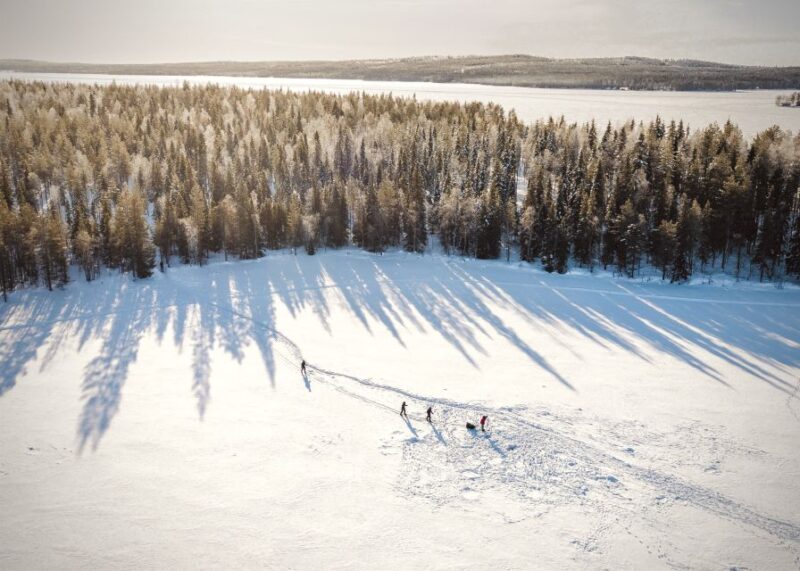 Rovaniemi: Winter Wilderness Snowshoeing Trip - Group Size and Language