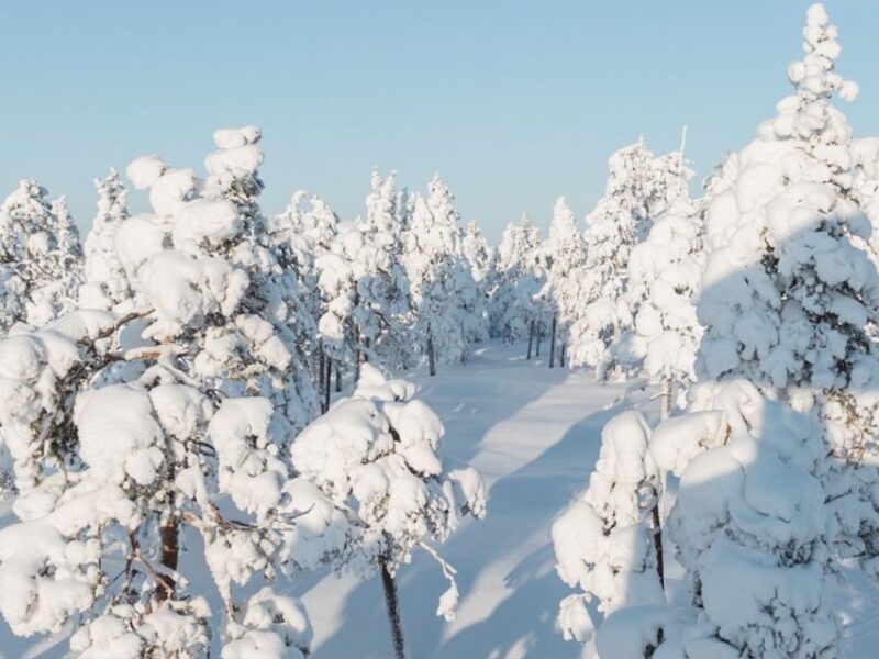 Rovaniemi: Winter Wonderland Vikaköngäs Hike & Barbeque - Historical and Cultural Context