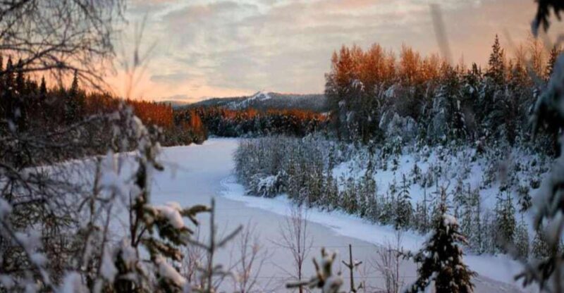 Rovaniemi: Winter Wonderland Vikaköngäs Hike & Barbeque - Participant Information