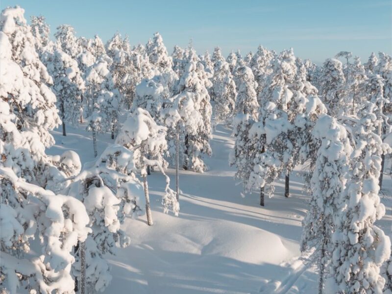 Rovaniemi: Winter Wonderland Vikaköngäs Hike & Barbeque - Frequently Asked Questions