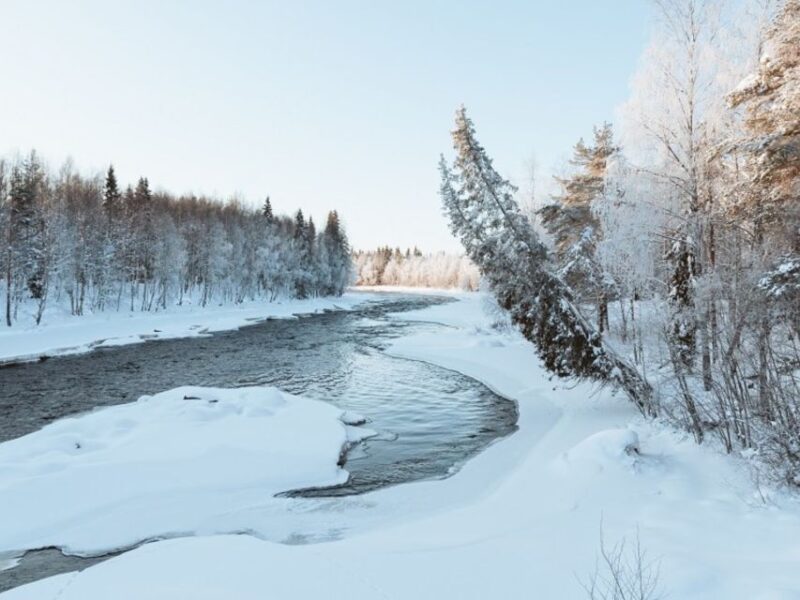 Rovaniemi: Winter Wonderland Vikaköngäs Hike & Barbeque - Sum Up