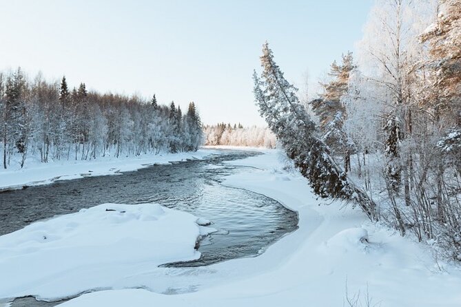 Rovaniemi: Winter Wonderland Vikaköngäs Hiking Tour & BBQ - Savory Barbecue Lunch