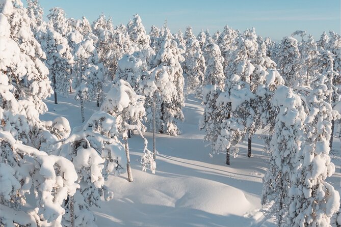 Rovaniemi: Winter Wonderland Vikaköngäs Hiking Tour & BBQ - Meeting and Pickup Information