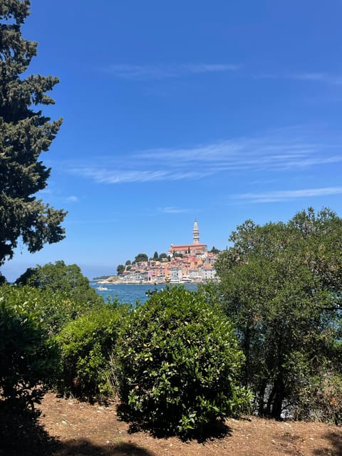 Rovinj: BUBA SUNSET Kayak, Snorkeling&Driknks Incuded - Booking and Cancellation