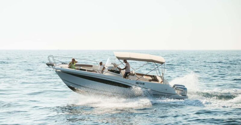 Rovinj: Family Friendly Dolphin Watching Tour - Dolphin Watching Experience
