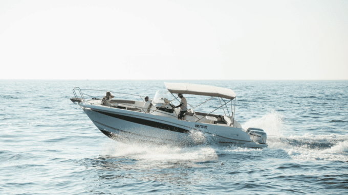 Rovinj: Family Friendly Dolphin Watching Tour - Customer Feedback