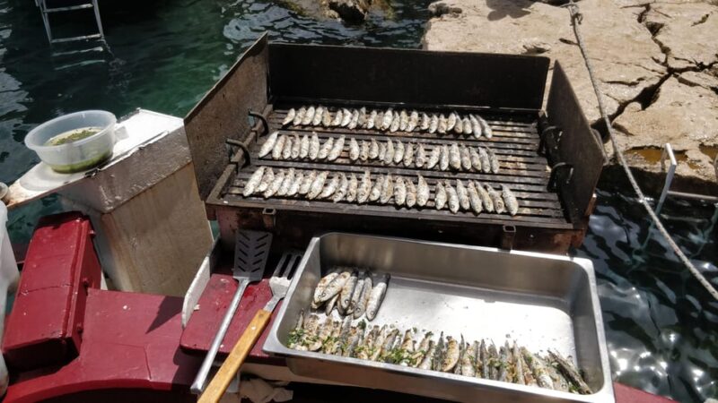Rovinj: Fish Picnic in Lim Fjord and Red Island - Good To Know