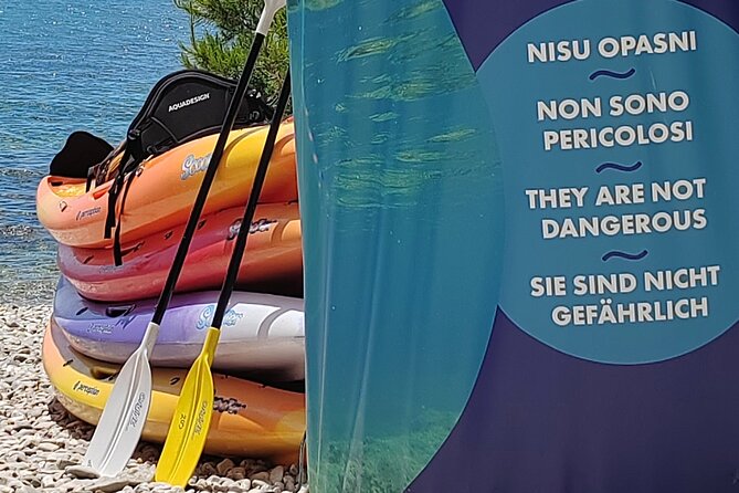 Rovinj Golden Cape Desert Islands Kayak & Snorkeling Tour - Key Points