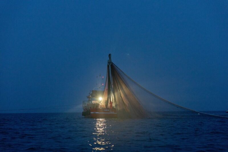 Rovinj: Sunrise Dolphins & Fishermen at Work Speedboat Tour - Customer Feedback