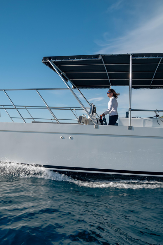 Rovinj: Sunset & Dolphin Group Tours With Catamaran - Pricing and Booking
