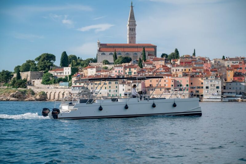 Rovinj: Sunset & Dolphin Group Tours With Catamaran - Customization Opportunities