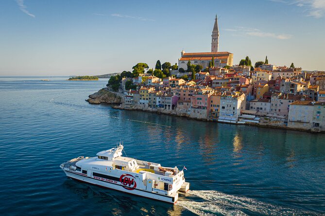 Rovinj to Venice Day Trip by High-Speed Catamaran - Traveler Experiences and Insights