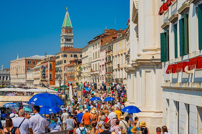 Rovinj to Venice Day Trip by High-Speed Catamaran - Navigating the Waterways