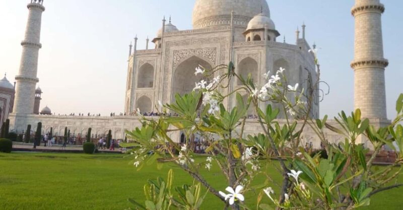 Royal Agra Experience: One-Day Tour From Delhi - Key Points