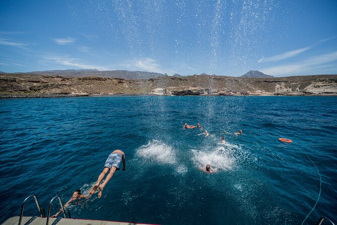 Royal Delfin 3H Dolphin & Whale Watching! Swimming & Lunch! - Accessibility and Additional Information