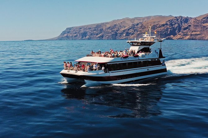 Royal Delfin - 45H Dolphin & Whale Watching - Los Gigantes Masca - Lunch & Swim - Underwater Panoramic Viewing