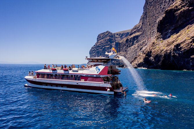 Royal Delfin - 45H Dolphin & Whale Watching - Los Gigantes Masca - Lunch & Swim - Additional Tour Information