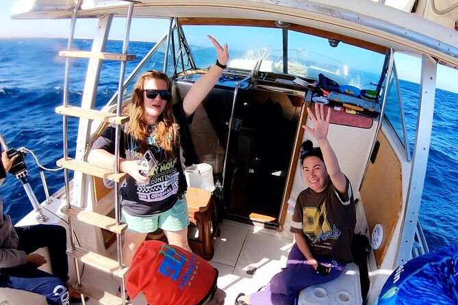 Royal Dolphin House Sea Trip Hurghada - Guest Feedback and Experiences