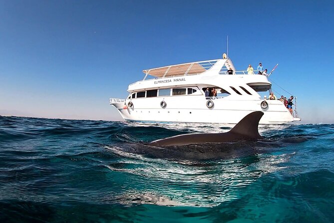 Royal Dolphin House Sea Trip Hurghada - Snorkeling and Water Sports