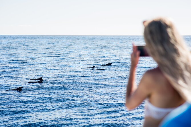 Royal Dolphin Whale Watching Excursion - Overview