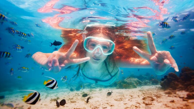 ROYAL GARRAFON VIP - DOLPHIN ROYAL SWIM - What to Bring and Prepare