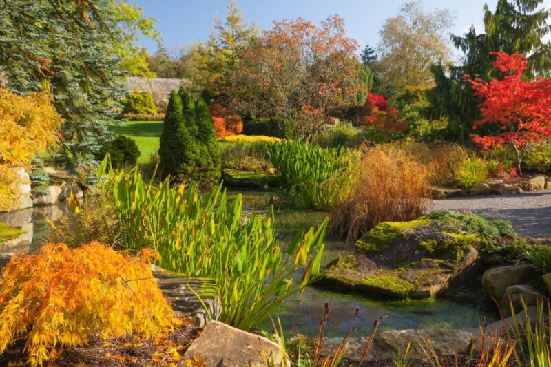 Royal Horticultural Society: Harlow Carr Garden Ticket - Drone Prohibition