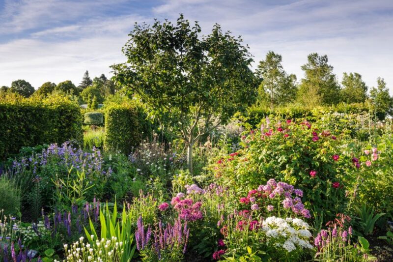 Royal Horticultural Society: Hyde Hall Garden Ticket - Clore Learning Center