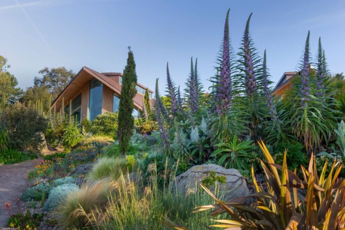 Royal Horticultural Society: Hyde Hall Garden Ticket - Recap