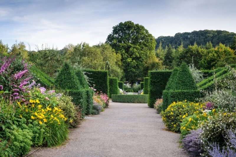 Royal Horticultural Society: Rosemoor Garden Ticket - Variety of Blooms