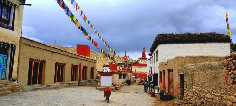 Royal Mustang Trek - Itinerary Details