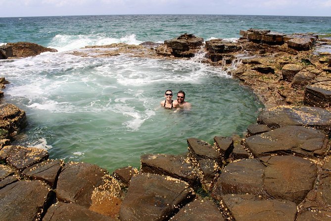 Royal National Park Private Tour - Recommendations and Feedback