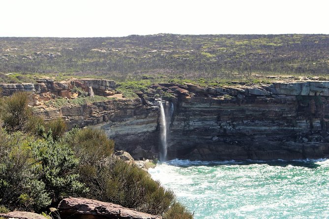 Royal National Park Private Tour - Group Preferences