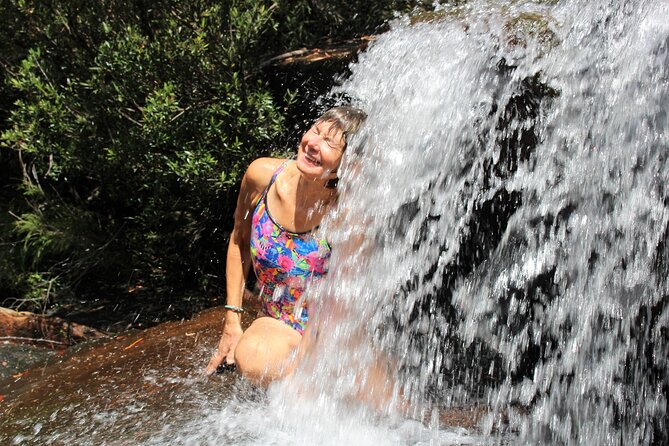 Royal National Park Private Tour - Customizable Itinerary