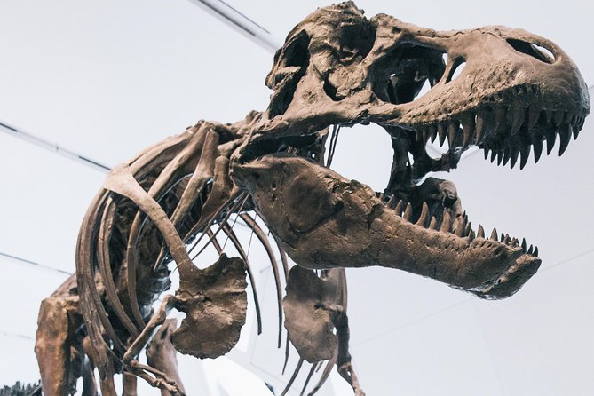 Royal Ontario Museum Admission - Special Exhibitions
