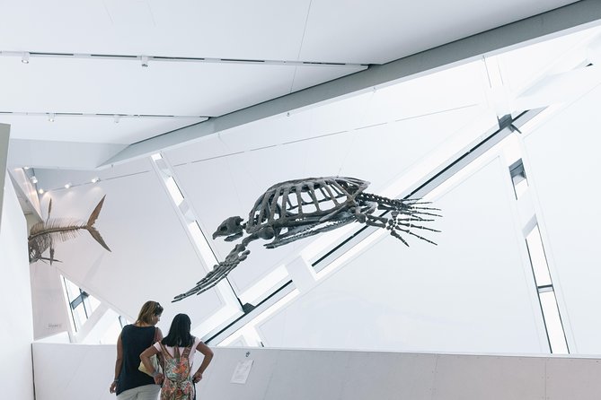Royal Ontario Museum Admission - Dining Options