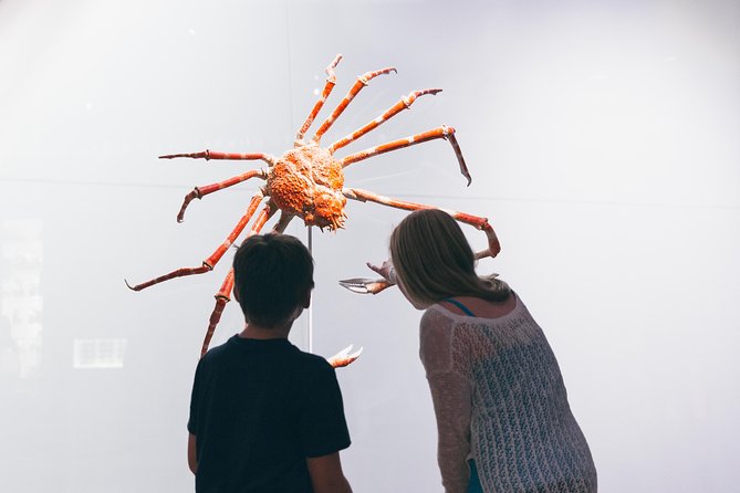 Royal Ontario Museum Admission - Accessibility and Services