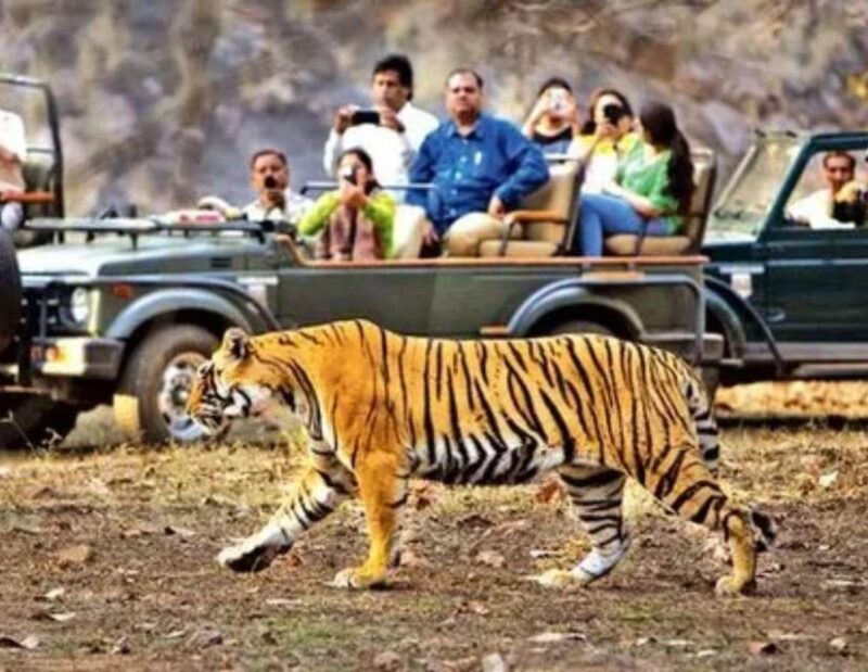 Royal Rajasthan Tour - A Cultural Experience of Rajasthan - Discovering the Desert Charm of Bikaner