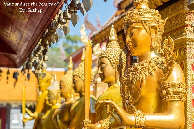 Royal Residence & Wat Phrathat Doi Suthep Half Day Tour From Chiang Mai - Booking Information