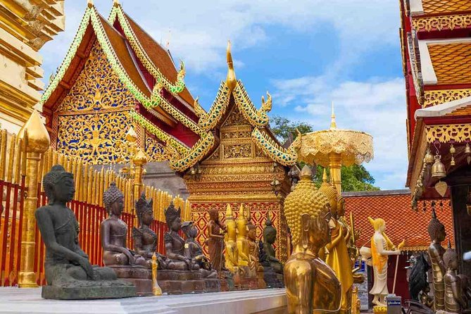 Royal Residence & Wat Phrathat Doi Suthep Half Day Tour From Chiang Mai - Guest Review