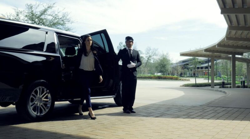 Royal Service Transfer From Punta Cana Airport - Language and Accessibility