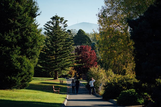 Royal Tasmanian Botanical Gardens Walking Tour - Accessibility and Weather Policy