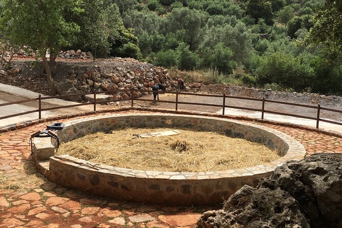RTH01. Explore Shepherd's Hut and Cheese Making Process - Cretan Cuisine