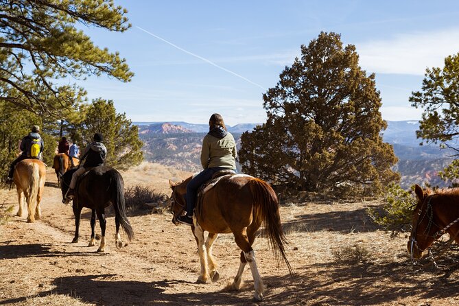 Rubys Horseback Adventures Utah 1.5 Hour Ride - Review Highlights