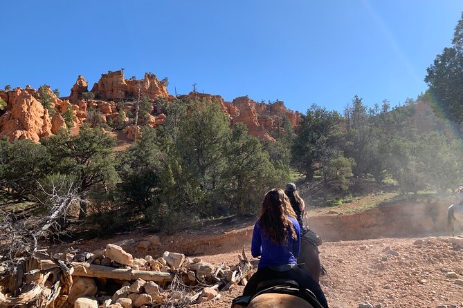 Rubys Horseback Adventures Utah Half Day Ride - Key Points