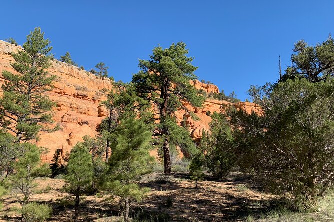 Rubys Horseback Adventures Utah Half Day Ride - Customer Reviews