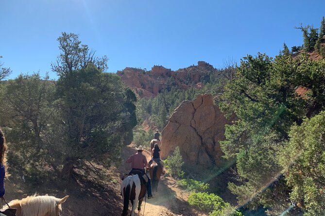 Rubys Horseback Adventures Utah Half Day Ride - Considerations for Experienced Riders