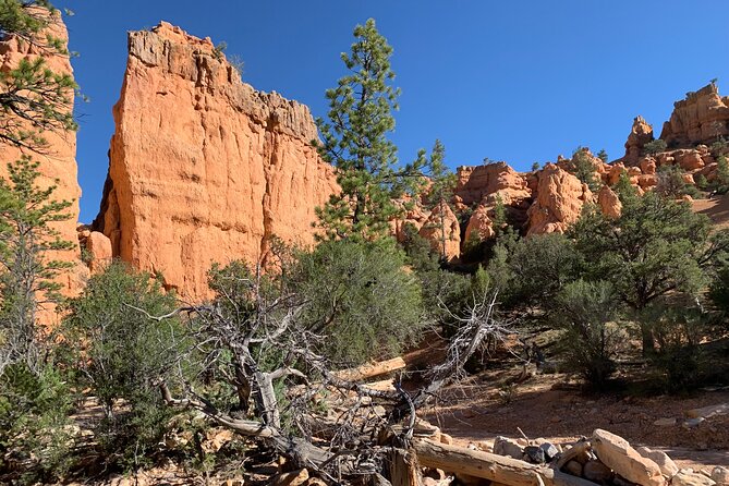 Rubys Horseback Adventures Utah Half Day Ride - Beginner-Friendly Trail Rides